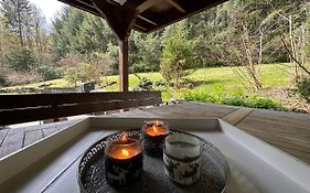Charming Villa On The Forest In Wald 12 Guests Hugh Garden Willingen Sauerland