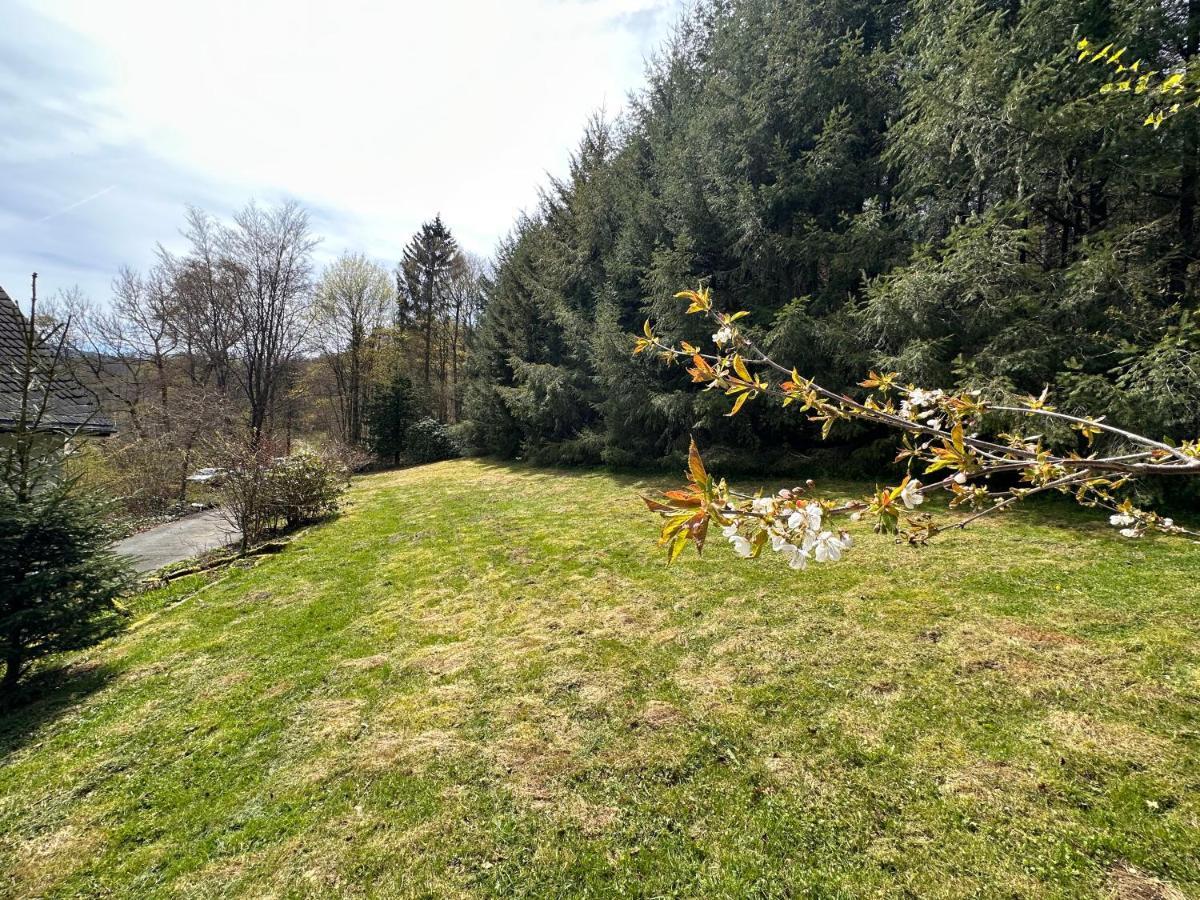 Charming Villa On The Forest In Wald 12 Guests Hugh Garden Willingen Sauerland Brilon Buitenkant foto