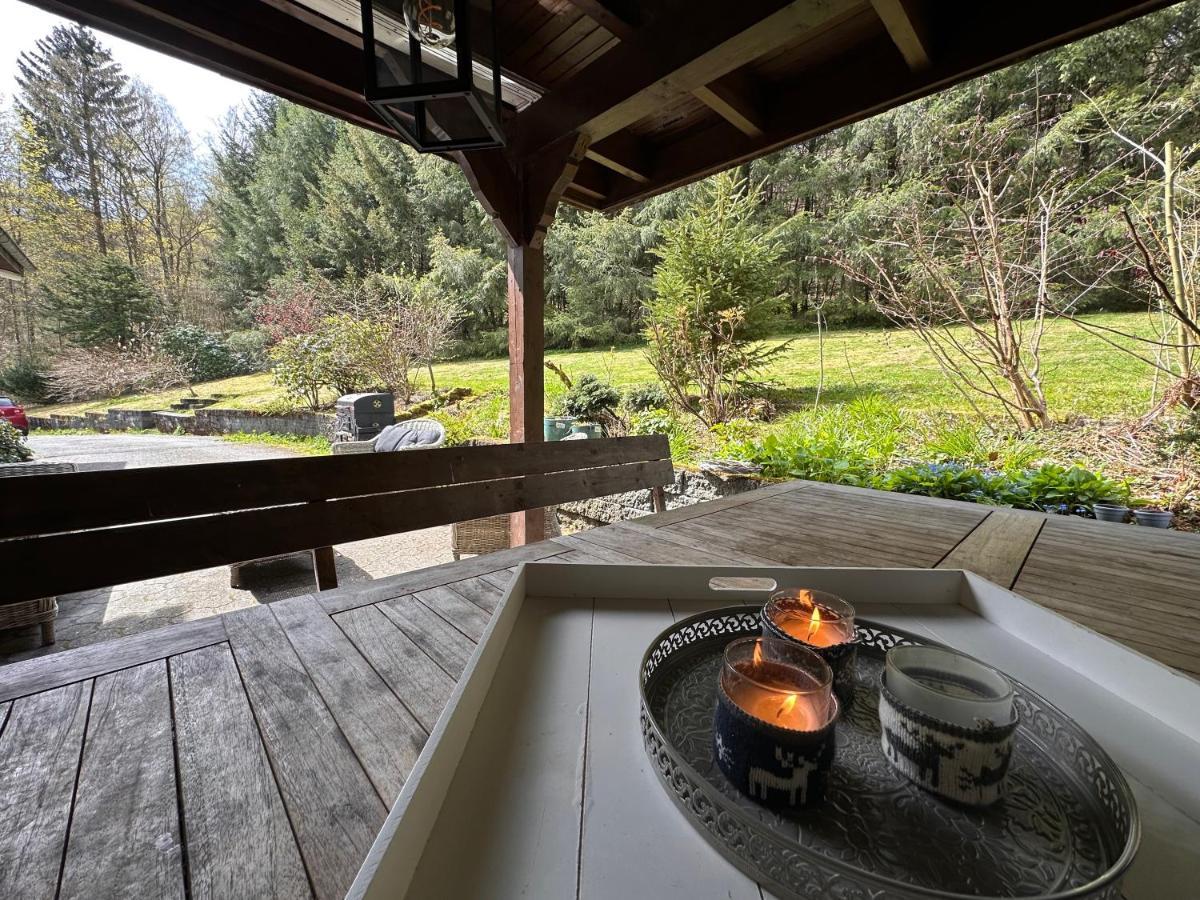 Charming Villa On The Forest In Wald 12 Guests Hugh Garden Willingen Sauerland Brilon Buitenkant foto