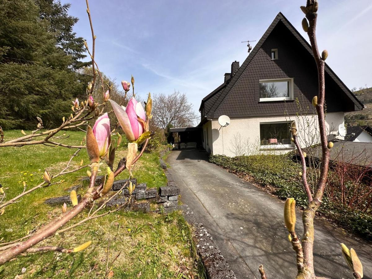 Charming Villa On The Forest In Wald 12 Guests Hugh Garden Willingen Sauerland Brilon Buitenkant foto