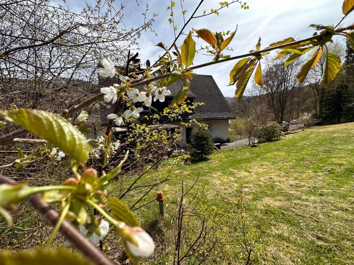 Charming Villa On The Forest In Wald 12 Guests Hugh Garden Willingen Sauerland Brilon Buitenkant foto